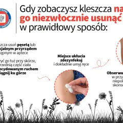 Jak zapobiec boreliozie: skuteczne sposoby na uniknięcie kleszczy