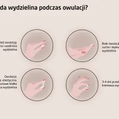 Jakie badania przed cyklem? Kluczowe testy dla Twojego zdrowia