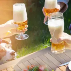 Czy pies może pić alkohol? Dowiedz się, jak to wpływa na zdrowie psa