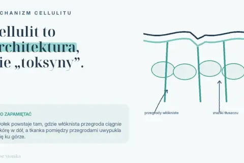 Mechanizm cellulitu: włókniste przegrody ciągną skórę, tworząc nierówności. Zrozumienie tego pomoże Ci jak pozbyć się cellulitu.