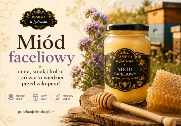Miód faceliowy z Pasieki u Jędrusia: łagodny smak, jasny kolor. Odkryj jego właściwości przed zakupem.
