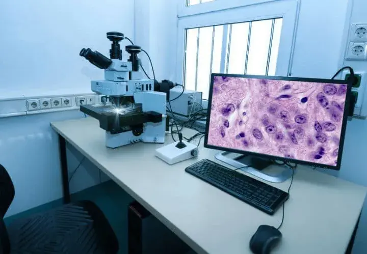 Jak długo trwa badanie immunohistochemiczne? Poznaj ważne informacje