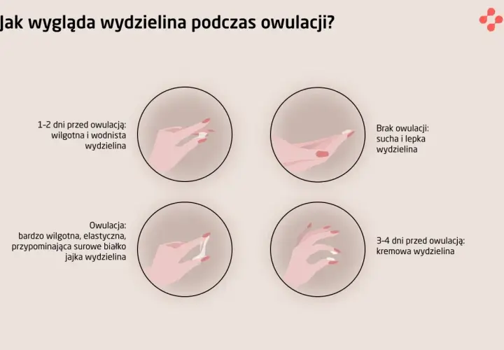 Jakie badania przed cyklem? Kluczowe testy dla Twojego zdrowia