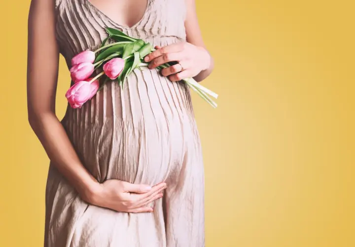 Kobieta w ciąży trzyma bukiet różowych tulipanów. Czas oczekiwania na dziecko to około 40 tygodni.
