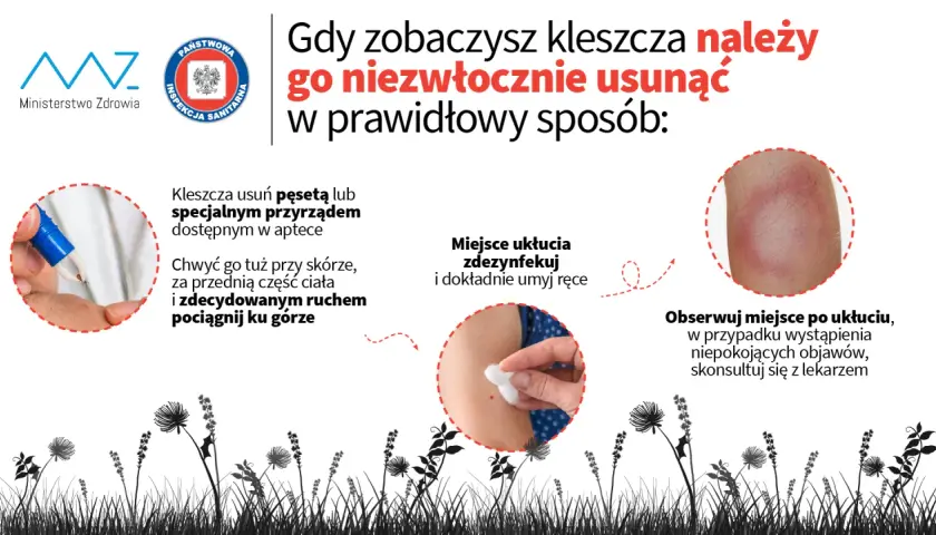 Jak zapobiec boreliozie: skuteczne sposoby na uniknięcie kleszczy
