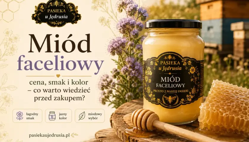 Miód faceliowy z Pasieki u Jędrusia: łagodny smak, jasny kolor. Odkryj jego właściwości przed zakupem.