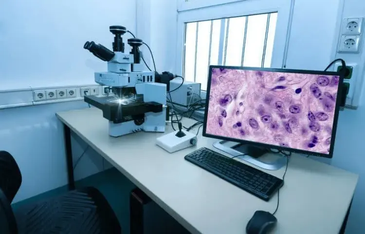 Jak długo trwa badanie immunohistochemiczne? Poznaj ważne informacje
