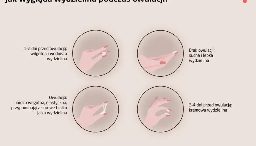 Jakie badania przed cyklem? Kluczowe testy dla Twojego zdrowia