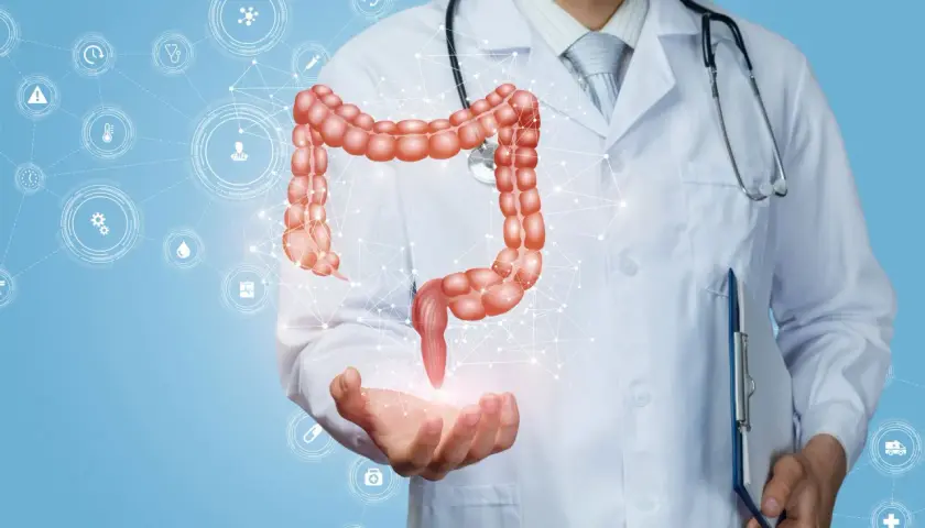 Lekarz prezentuje model jelita grubego, symbolizujący diagnostykę i skuteczne sibo leczenie.