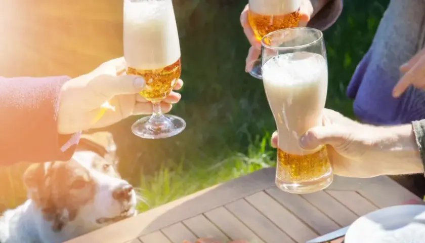 Czy pies może pić alkohol? Dowiedz się, jak to wpływa na zdrowie psa