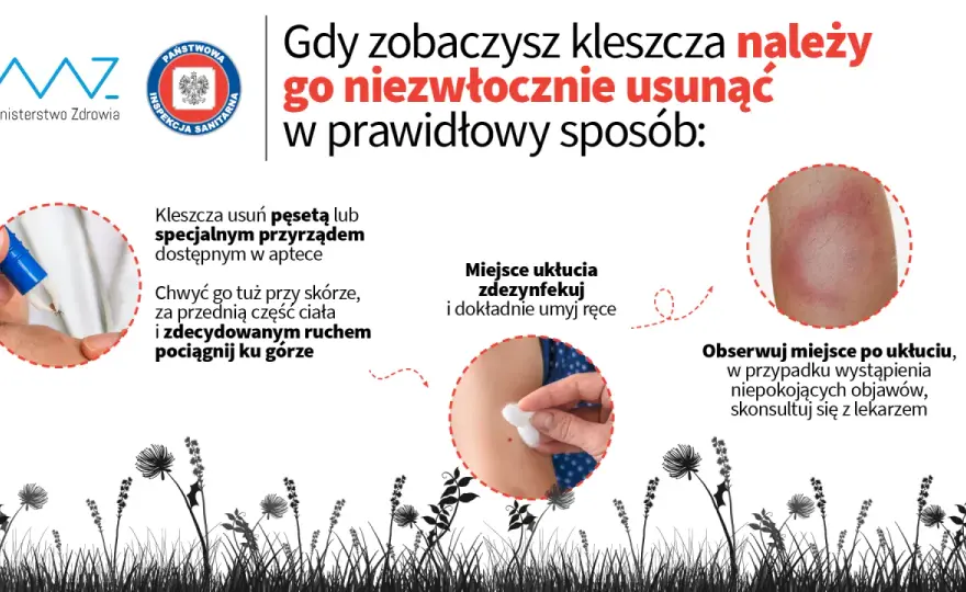Jak zapobiec boreliozie: skuteczne sposoby na uniknięcie kleszczy