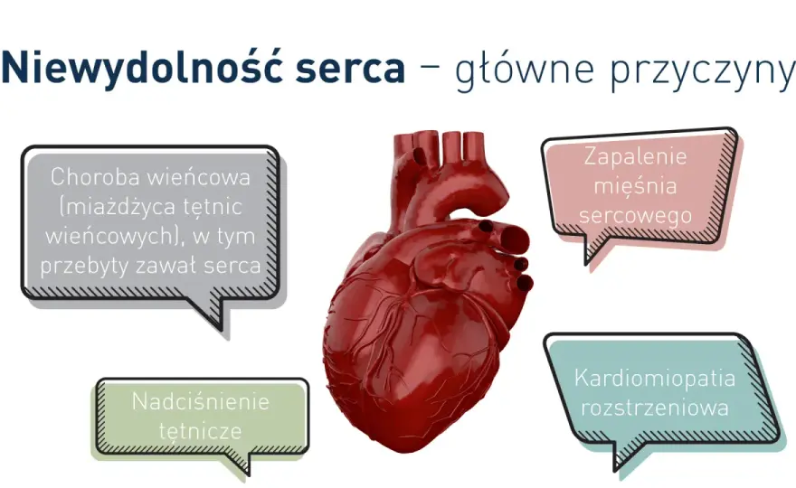 Niewydolność serca - objawy, badania i co naprawdę pomaga