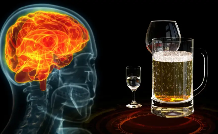 Czy alkohol niszczy mózg? Sprawdź, jakie są skutki dla zdrowia