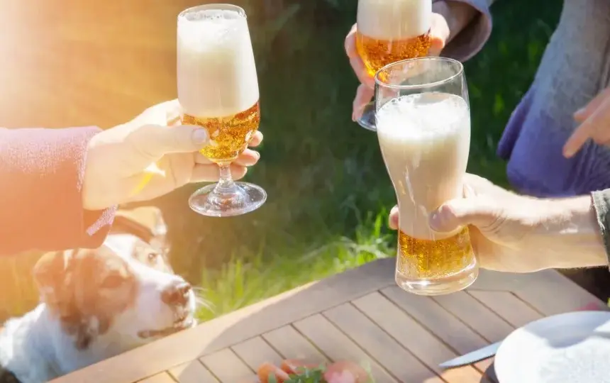 Czy pies może pić alkohol? Dowiedz się, jak to wpływa na zdrowie psa