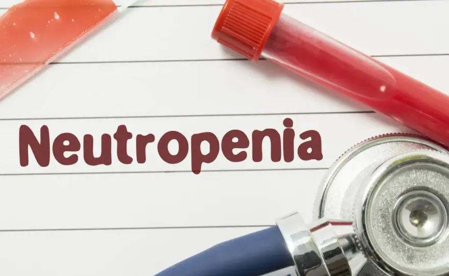Neutropenia - Kiedy niski wynik to alarm? Sprawdź objawy!