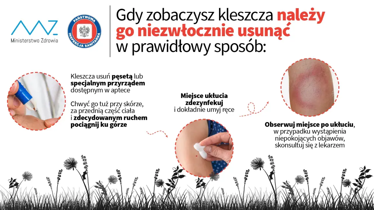 Jak zapobiec boreliozie: skuteczne sposoby na uniknięcie kleszczy