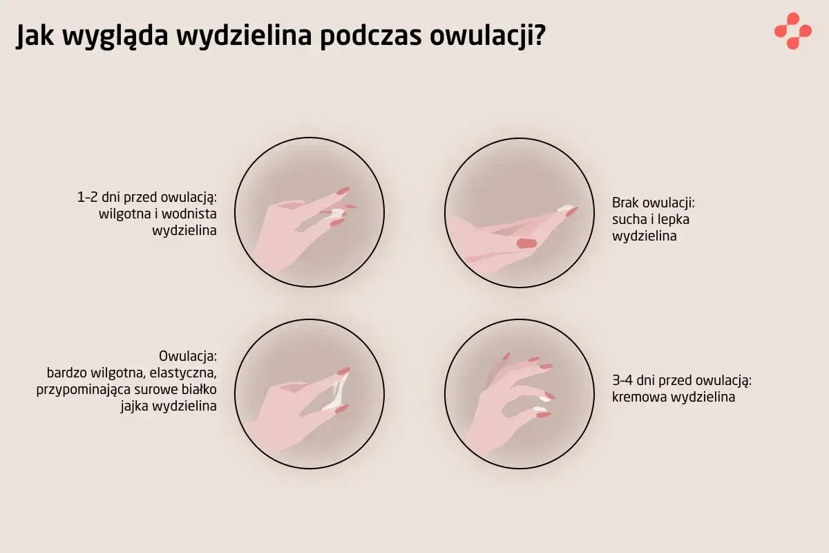 Jakie badania przed cyklem? Kluczowe testy dla Twojego zdrowia