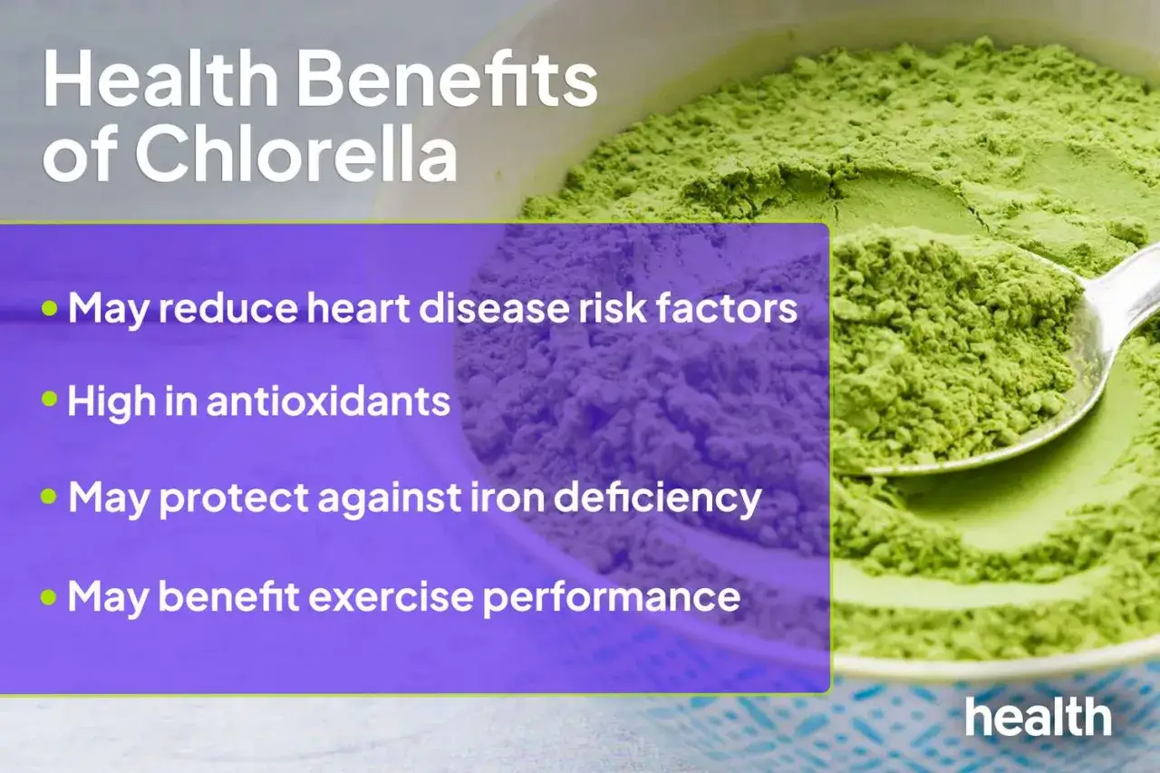 Chlorella właściwości: proszek w miseczce i na łyżce, z wypunktowanymi korzyściami zdrowotnymi, jak redukcja ryzyka chorób serca.