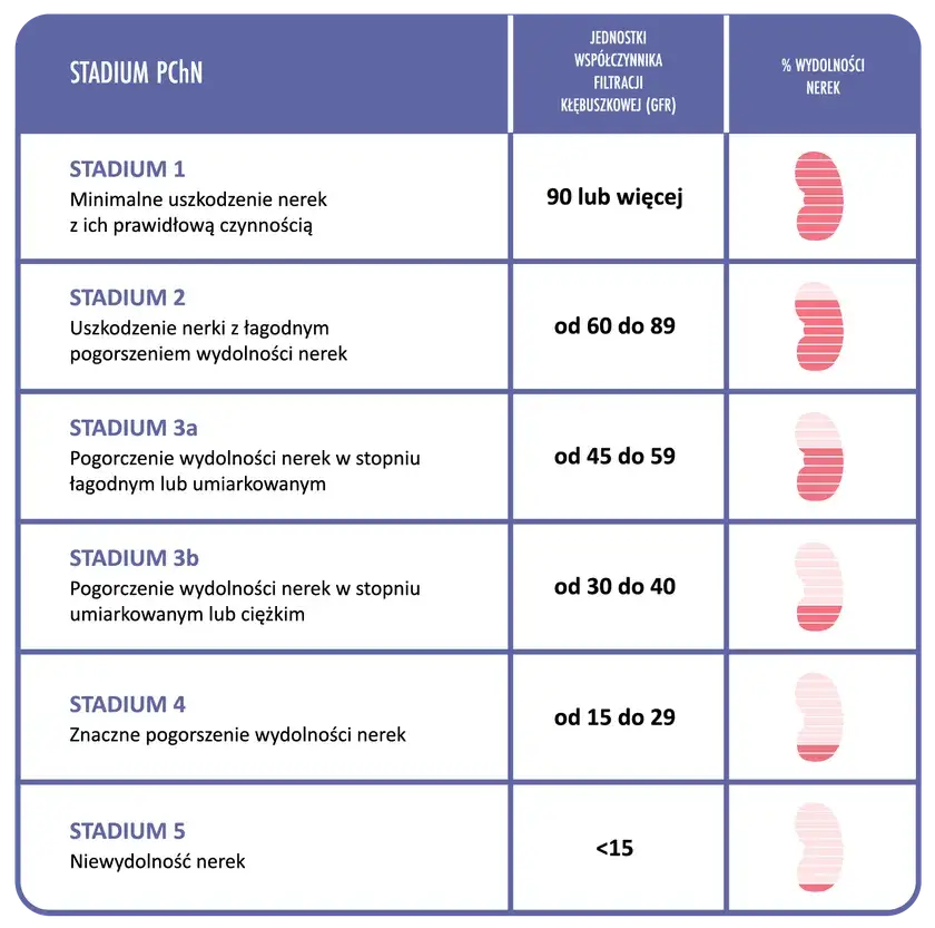 Zdjęcie EGFR co to za badanie i jak może uratować twoje nerki